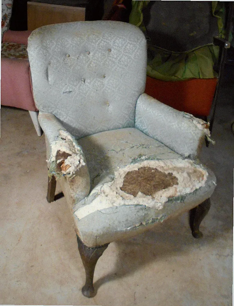 Queen Anne Back Recliners